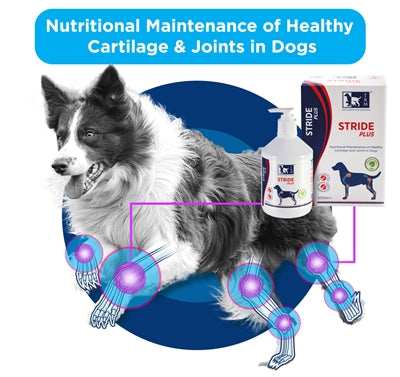 Trm - Trm stride plus