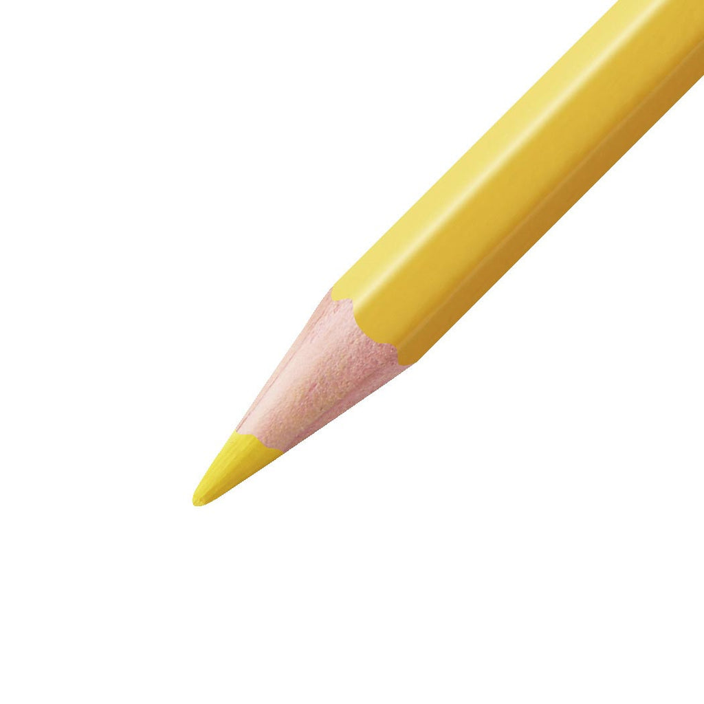 Stabilo aquacolor potloden 12 kleuren