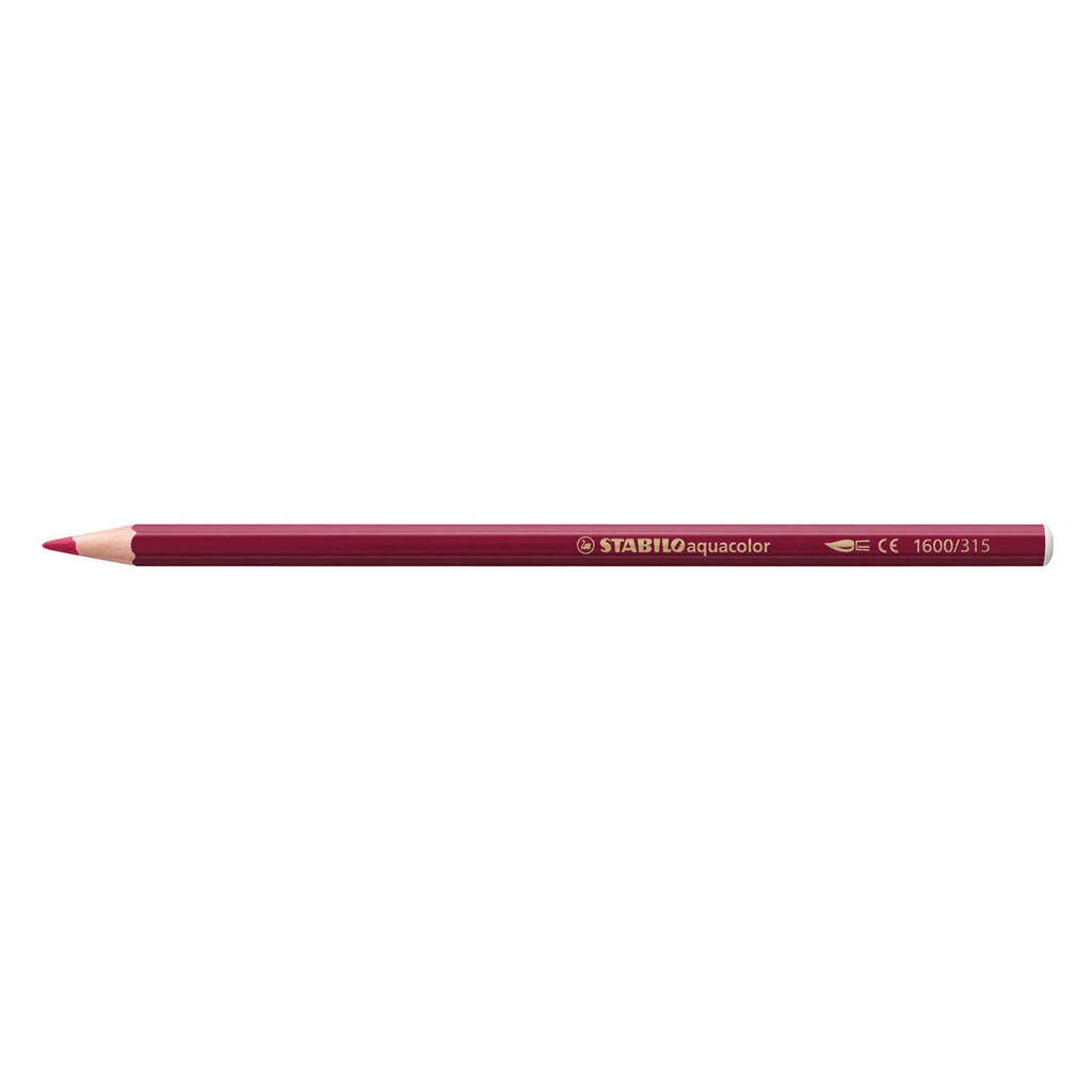 Stabilo kleurpotlood 1624 aquacolor arty 24st