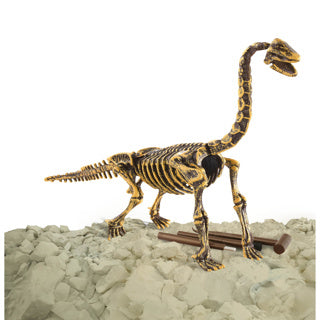 Dino Base - Dino Base | 3 stuks
