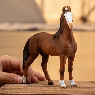 Schleich 14897 marwari mare | 5 stuks