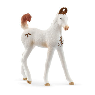 Schleich 14896 marwari foal | 5 stuks