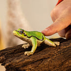 Schleich wild life europese boomkikker 14882