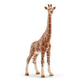 Schleich wild life - vrouwtjesgiraf - speelfiguur - kinderspeelgoed voor jongens en meisjes - 3 tot 8 jaar - 14750