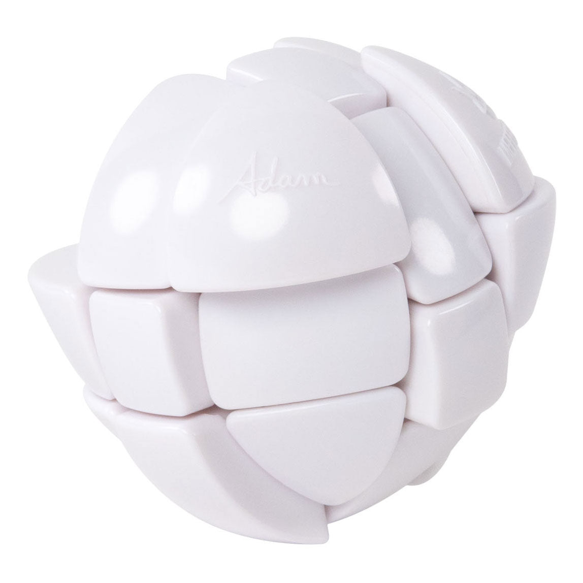 Recent Toys - Recent Toys Morphs egg breinbreker puzzel