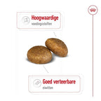 Royal Canin - Royal Canin maxi adult
