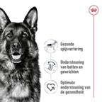 Royal Canin - Royal Canin maxi adult