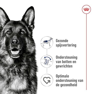 Royal Canin - Royal Canin maxi adult