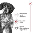 Royal Canin - Royal Canin medium adult