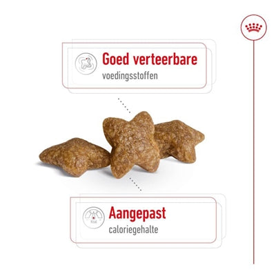 Royal Canin - Royal Canin mini adult