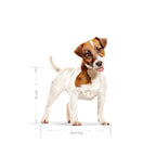 Royal Canin - Royal Canin mini adult