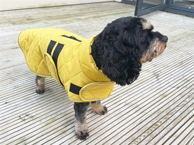Happy Pet - Happy Pet hondenjas go walk quilted classic mosterd