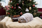 Cupid comet advent gift 'n' forage truffel schaal
