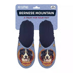 Pantoffel bernese mountain dog donkerblauw