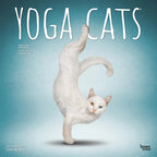 kalender yoga cats 2025