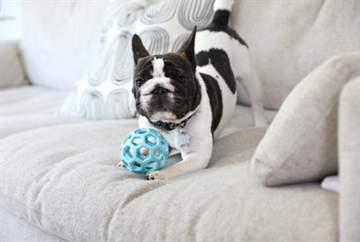Jw - Jw hol-ee roller trend-ee blauw