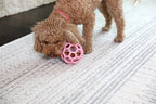 Jw - Jw hol-ee roller trend-ee roze