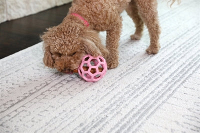 Jw - Jw hol-ee roller trend-ee roze