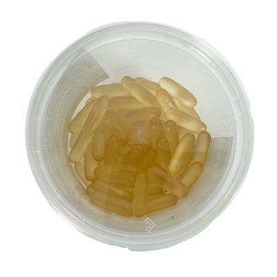 Dierendrogist - zalmolie capsules