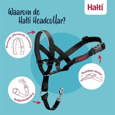 The Company Of Animals - The Company Of Animals Company of animals halti headcollar zwart