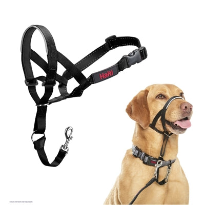 The Company Of Animals - The Company Of Animals Company of animals halti headcollar zwart