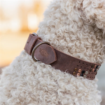Trixie - halsband hond rivet rustic vetleer donkerbruin
