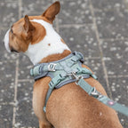 Trixie - hondentuig premium flexmesh brede borst saliegroen