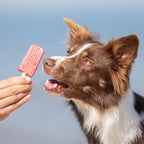 Trixie - ice pop rood