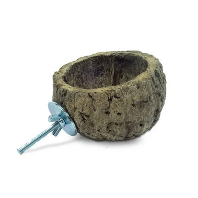 Back Zoo Nature - Back Zoo Nature discovery bowl