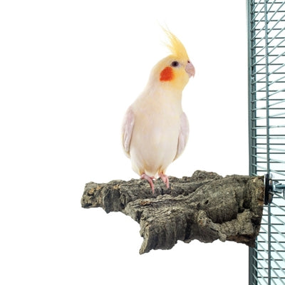 Back Zoo Nature - Back Zoo Nature corky chew