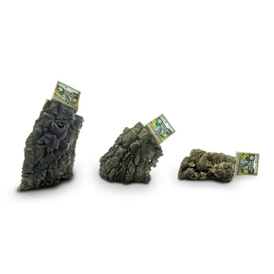 Back Zoo Nature - Back Zoo Nature corky chew