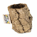 Back Zoo Nature - Back Zoo Nature trunkhut