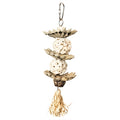 Back Zoo Nature - Back Zoo Nature palm star balls