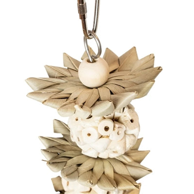 Back Zoo Nature - Back Zoo Nature palm star balls