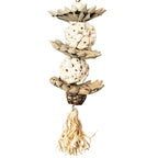 Back Zoo Nature - Back Zoo Nature palm star balls
