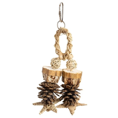 Back Zoo Nature - Back Zoo Nature forest ring