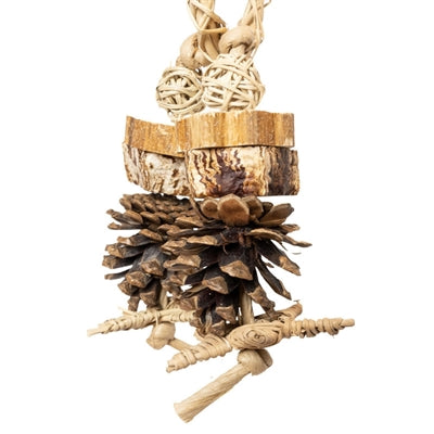 Back Zoo Nature - Back Zoo Nature forest ring
