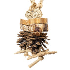 Back Zoo Nature - Back Zoo Nature forest ring