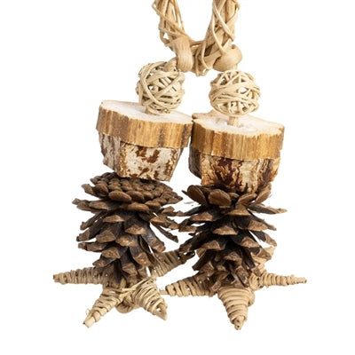 Back Zoo Nature - Back Zoo Nature forest ring