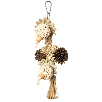 Back Zoo Nature - Back Zoo Nature stunny sunny