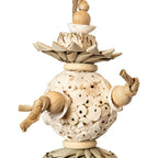 Back Zoo Nature - Back Zoo Nature ball and shells