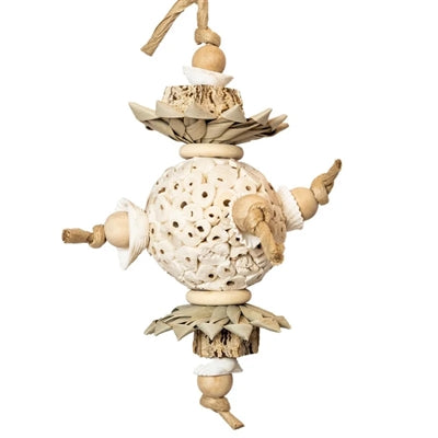 Back Zoo Nature - Back Zoo Nature ball and shells