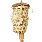 Back Zoo Nature - Back Zoo Nature shredding rocket