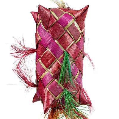 Back Zoo Nature - Back Zoo Nature carnival pinata