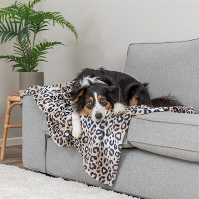 Trixie - hondendeken leo softpluche panterprint creme