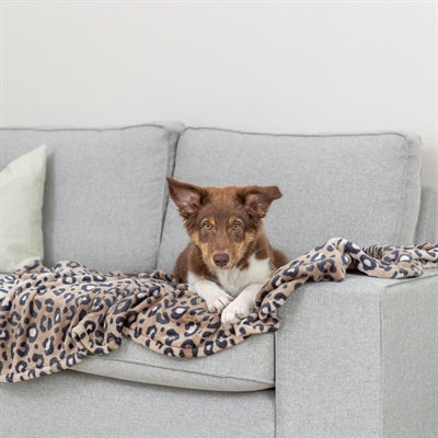 Trixie - hondendeken leo softpluche panterprint bruin