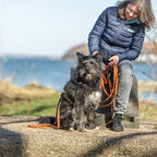 Trixie - sleeplijn met rubber bekleed zonder handlus oranje