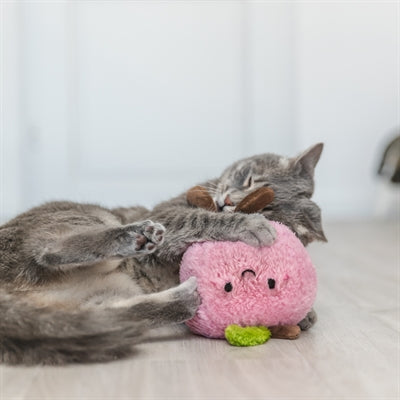 Trixie - perzik xxl pluche met amerikaanse catnip