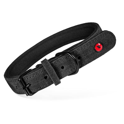Zolux - expert halsband hond premium leer / neopreen zwart