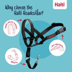 The Company Of Animals - The Company Of Animals Company of animals halti headcollar zwart